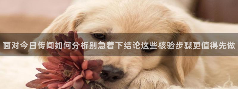 热门资讯动态:面对今日传闻如何分析别急着下结论这些核验步骤更值得先做