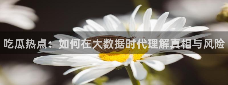 黑料今日资讯：吃瓜热点：如何在大数据时代理解真相与风险
