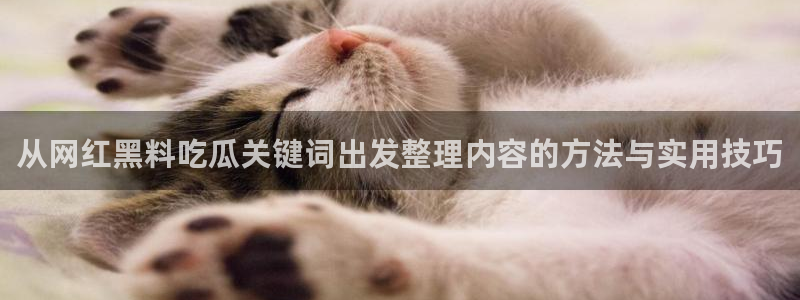 黑料爆料热点网：从网红黑料吃瓜关键词出发整理内容的方法与实用技巧