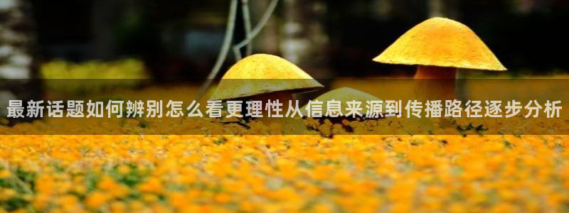 热门资讯排行:最新话题如何辨别怎么看更理性从信息来源到传播路径逐步分析