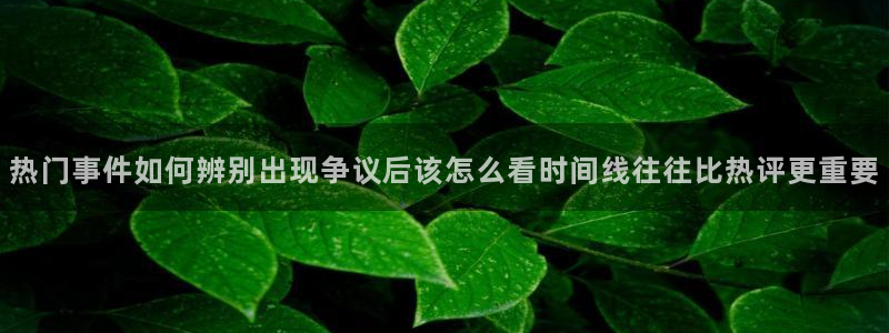 黑料资讯：热门事件如何辨别出现争议后该怎么看时间线往往比热评更重要