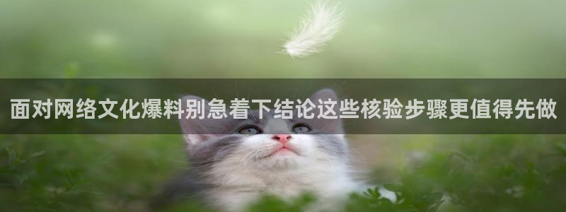黑料爆料最新热搜：面对网络文化爆料别急着下结论这些核验步骤更值得先做