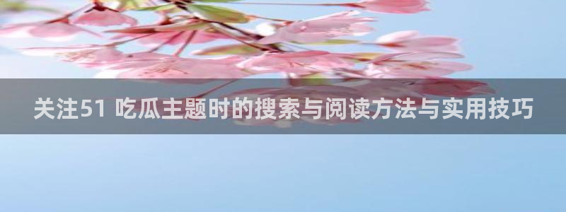 黑料网络资讯：关注51 吃瓜主题时的搜索与阅读方法与实用技巧