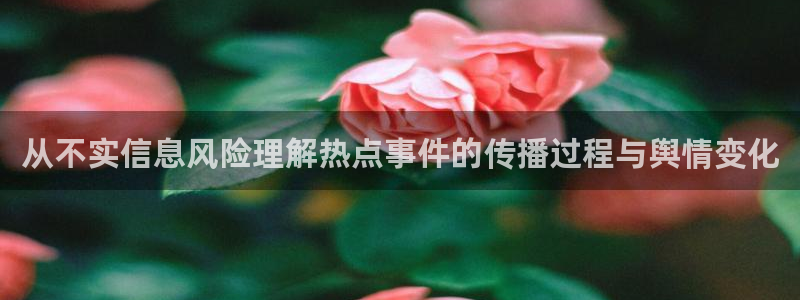 热点资讯动态
